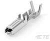 Automotive Terminals - 175124-1 - TE Connectivity