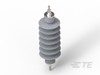 Lightning Arresters & Surge Arresters - CG9347-000 - TE Connectivity