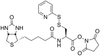 Biotinyl Pyridinyldithio N-Hydroxysuccinimide Alanine Este.. - B397300 - Toronto Research Chemicals, Inc.