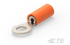 Ring Terminals - 50836 - TE Connectivity