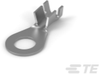 Ring Terminals & Spade Terminals - 881003-1 - TE Connectivity