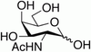 N-Acetyl-D-galactosamine - 6151 - Medical Isotopes, Inc.
