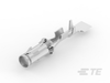 Automotive Terminals - 929970-1 - TE Connectivity