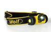 Head Torches -- 1884056 - Image