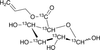 Allyl D-Glucuronate-13C6 - A555402 - Toronto Research Chemicals, Inc.