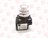 Pilot Light - 203413851 - Radwell International