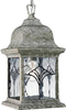 P5595-50 Exterior -Hanging - 765627 - Capital Lighting, Inc.