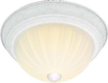 60-443 Flush Mounts-Bowl Style - 708703 - Capital Lighting, Inc.
