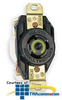 Hubbell Twist-Lock Receptacle -- HBL2620 - Image