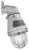 Explosionproof Emergency Lighting Unit with Fixture - ASB10501812G - Appleton Electric
