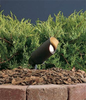 15384BKT Landscape Ltg.-Accent - 784043 - Capital Lighting, Inc.