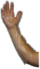 PIP 65-545 Clear Small Polyethylene Disposable Gloves - Food Grade - Embossed Finish - 22 in Length - 616314-22098 - 616314-22098 - R. S. Hughes Company, Inc.