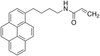 N-Acryloyl-1-pyrenebutylamine - A191475 - Toronto Research Chemicals, Inc.