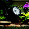 15742BKT Landscape Ltg.-Accent - 683524 - Capital Lighting, Inc.