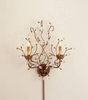 5882 Sconces-Double Candle - 432718 - Capital Lighting, Inc.