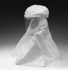 3M Versaflo S-403L-20 Medium/Large Hood - 051131-17250 - 051131-17250 - R. S. Hughes Company, Inc.