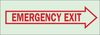 Brady Bradyglo B-324 Polyester Rectangle Green Emergency & Fire Exit Sign - 14 in Width x 5 in Height - Glow in the Dark - TEXT: EMERGENCY EXIT - 80210 - 754476-80210 - R. S. Hughes Company, Inc.