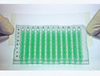 TSS-RTQ-100 - ThermalSeal Thermal Cycling Film, Polyolefin, 50um, PCR; 100/Pk -- GO-13024-44