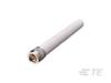 Antennas - ANT-5GW-IPW1-NP - TE Connectivity