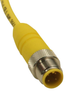 Sensor Cord, 4P, M12 Plug-Free End, 2M; Connector Type A Lumberg Automation - 12X0691 - Newark, An Avnet Company