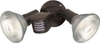 Exterior -Spot Lights - 629337 - Light Center (The)