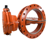 Butterfly Valves -- Seat-On-Disc Butterfly Valve - Image