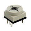 DIP Switches - 2449-RD10RA4RTT-ND - DigiKey