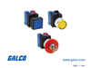 IDEC Pushbutton Illuminated - ALW29902D-R-6V - Galco Industrial Electronics