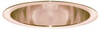 Incandescent/Fluorescent/Hid Recessed Trim - P600-P38-WTSMAX100 - Juno Lighting Group