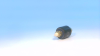 Lug/Connector - Radwell International