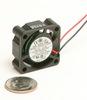 USTF2510 - Image