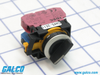 IDEC Selector Switches Non-Illuminated - CW4S-2E11 - Galco Industrial Electronics
