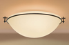 124253-20-G53 Semi-Flush Mts.-Bowl Style - 775155 - Capital Lighting, Inc.