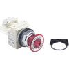 Switches - Pushbutton Switches -- 9001KR9P1R05H13 - Image