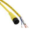Circular Cable Assemblies - 23-1200651124-ND - DigiKey