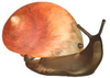 Lamps-Accent Lamps - 387833 - Light Center (The)