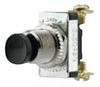 Specialty Pushbutton Switch -- 6PSM11 - Image