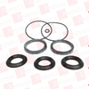 Hydraulic Cylinder Rebuild Kit / Seal Kit - 37874440 - Radwell International