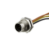 Circular Cable Assemblies - 1754-ASU-08PMMS-QC8A15-ND - DigiKey