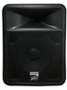 PR 12D Speaker Enclosure -- PR 12D