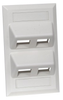 Datacommunication Face Plate - AFP14 - Hubbell Incorporated