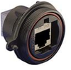 Modular Connectors / Ethernet Connectors - PX0893 - VAST STOCK CO., LIMITED