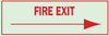 Brady Bradyglo B-324 Polyester Rectangle Green Emergency & Fire Exit Sign - 14 in Width x 5 in Height - Glow in the Dark - TEXT: FIRE EXIT - 80232 - 754476-80232 - R. S. Hughes Company, Inc.