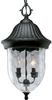 Exterior -Hanging - 234087 - Light Center (The)
