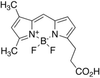 3-Bodipy-propanoic Acid - B674920 - Toronto Research Chemicals, Inc.