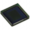 Sensors, Transducers - Optical Sensors - Image Sensors, Camera - OV07675-A23A - Shenzhen Shengyu Electronics Technology Limited