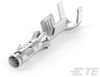 Automotive Terminals - 1-929990-0 - TE Connectivity
