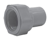Female Adapter Butt - 5030007 - Asahi/America, Inc.