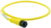 Cordset, Female, M12, 3 Position, 22Awg, 3M; Connector Type A Amphenol Sine/tuchel - 44W3615 - Newark, An Avnet Company
