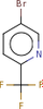 5-Bromo-2-(trifluoromethyl)pyridine - 3H32-B-36 - SynQuest Laboratories, Inc.